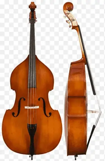 Contrabass